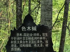 -五营国家森林公园