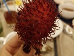 -东方红海鲜百汇(国际大厦店)