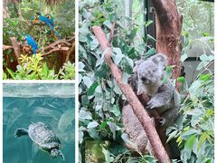 -广州长隆野生动物世界