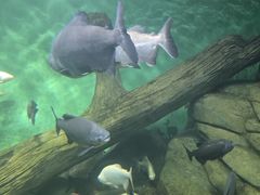 -常州海昌海洋探索馆
