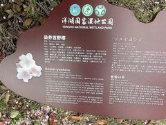 -洋湖国家湿地公园