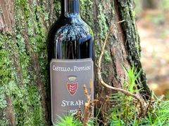 -武陵山森林公园