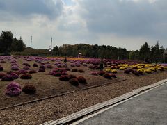 -柳鹭田园区