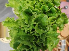 -允辛家·自助泥炉烤肉(九亭店)
