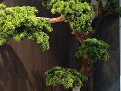景观位-野菌皇海景野生菌火锅(滨海大道店)