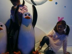 -芜湖新华联大白鲸海洋公园