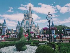 -奥兰多迪士尼动物王国乐园