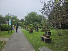 -扬州大运河文化旅游度假区·盆景园