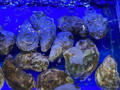 -大东海海鲜酒楼(渔人码头总店)