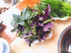 血皮菜-顺顺小吃(独克宗古城店)