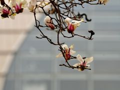 -国家大剧院