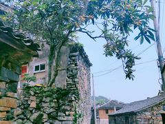 -许家山