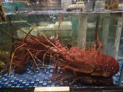 -大门水乡·顺德菜