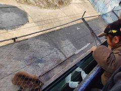 -温州动物园-北门售票处