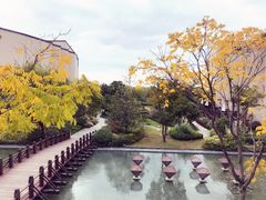 -上海崇明金茂凯悦酒店