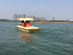 -暨阳湖生态园
