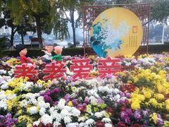 -西北湖绿化广场