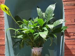 -伊斯麦尔丝路·新派菜(沙子口店)