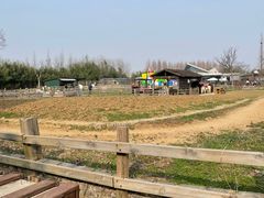-田园东方蜜桃村的田野营地