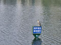 -西北湖绿化广场