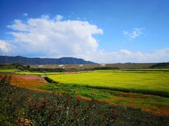 -光明小镇欢乐田园