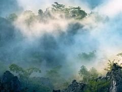 -千岛湖石林