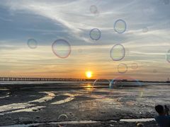 -宝安西湾红树林湿地公园