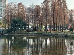 -四海公园(南山区)