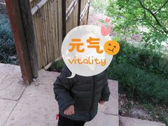 -秀丽东方