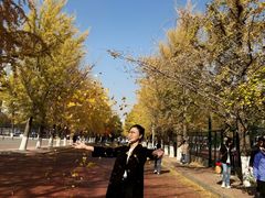 -辽宁大学(崇山校区)