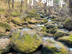 -香炉山国家森林公园