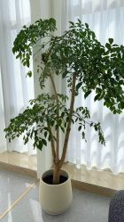 -JNK皮肤管理中心