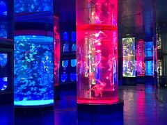 -左海海底世界