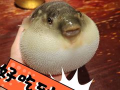 -永安鱼庄·镇江菜(东吴路店)