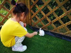 -萌宠亲子动物乐园(槐房万达店)