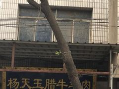 -杨天玉腊牛羊肉