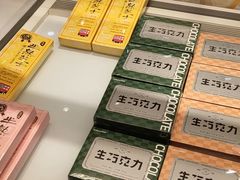 -蒲公英(五里店)