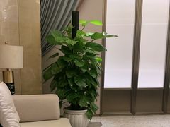 -湖锦酒楼·旗舰店(三阳总店)