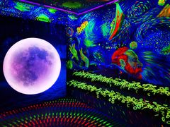 -天津梵高星空艺术馆(天河城旗舰店)