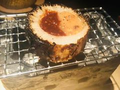 -地球美食剧场