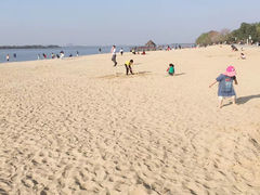 -瑶湖郊野森林公园