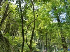-莫干山风景区