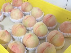 -老袁家蜜桃农场·阳山水蜜桃