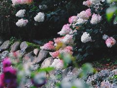 -寂照庵