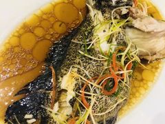 -竹林小屋(库塔店)