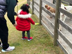 -前小桔亲子创意农场·草莓采摘·露营烧烤