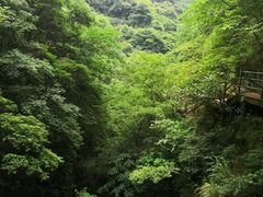 -山沟沟景区