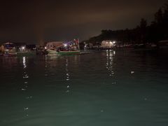 -蓝湾碧波·老字号·疍家非遗海上餐厅