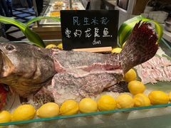 -君悦酒店·乐厨·高空自助餐(青年大街店)