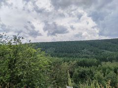 -塞罕坝国家级自然保护区